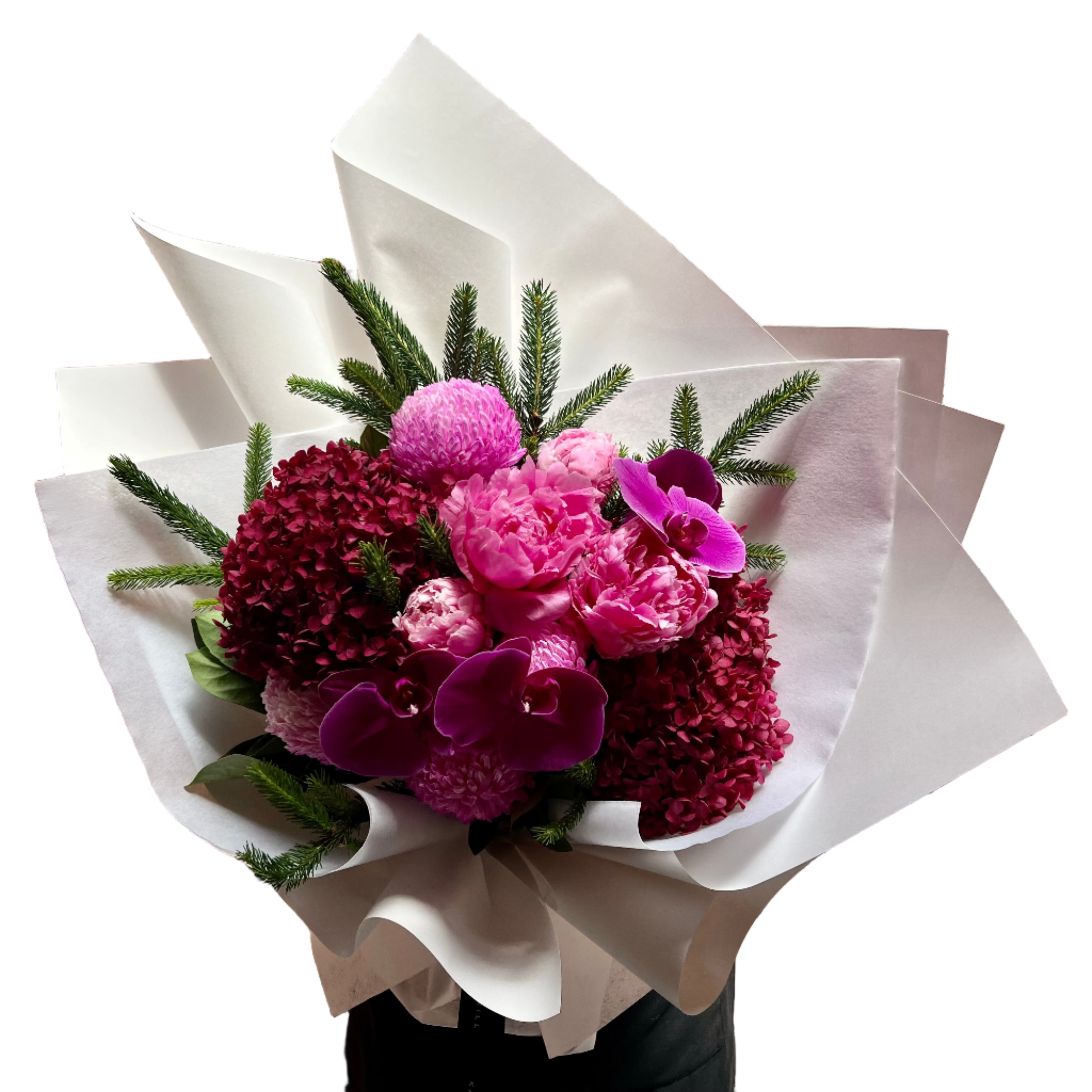 Close up image of a large bouquet of flowers in hot pink, magenta and burgundy colours, detailed with a hint of Christmas spruce foliage. Bouquet is wrapped beautifully in white signature wrapping and florist is standing against a white wall. 