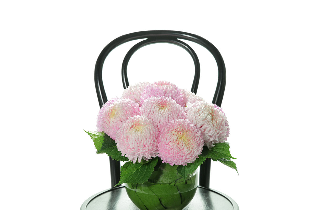 Kate Hill Flowers – blush pink chrysanthemum ball-vase design lined with monstera leaves for congratulations gift.