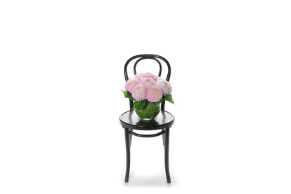Kate Hill Flowers – blush pink chrysanthemum ball-vase design lined with monstera leaves for congratulations gift.