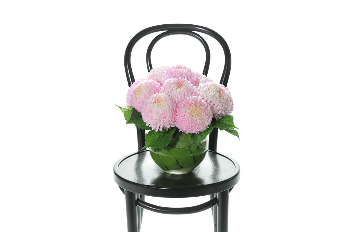 Kate Hill Flowers – blush pink chrysanthemum ball-vase design lined with monstera leaves for congratulations gift.