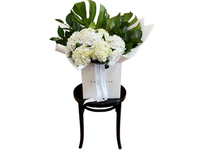 Wide image of large bouquet of white hydrangeas and green foliages wrapped beautifully in our Kate Hill Flower bag which is sitting on a black bentwood chair and white background.