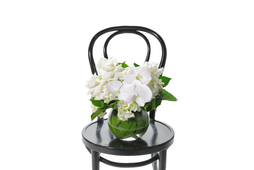 ELISE vase design is classic vase design that displays a balanced mix of white seasonal flowers and green seasonal foliage. Short 20cm ball vase, lined with green monsteria leaves and displaying seasonal white flowers and green foliage. White and green ball vase sitting on black bentwood chair.