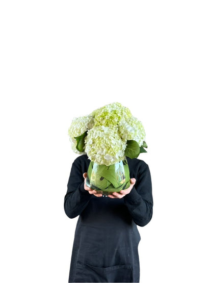 Video of florist holding tapered vase displaying hydrangeas against a white wall.