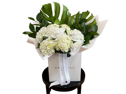 A large bouquet of white hydrangeas and green foliages wrapped beautifully in our Kate Hill Flower bag which is sitting on a black bentwood chair and white background.