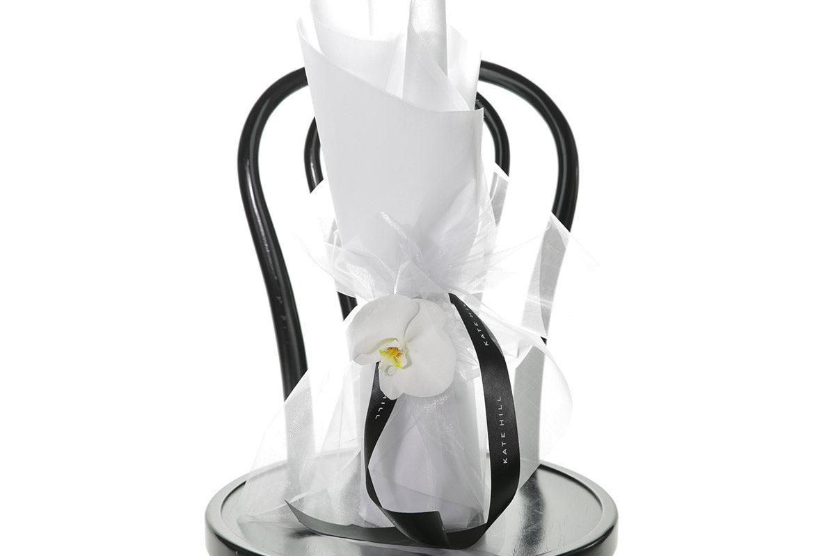 White orchid in a black champagne holder with a white ribbon on a white background