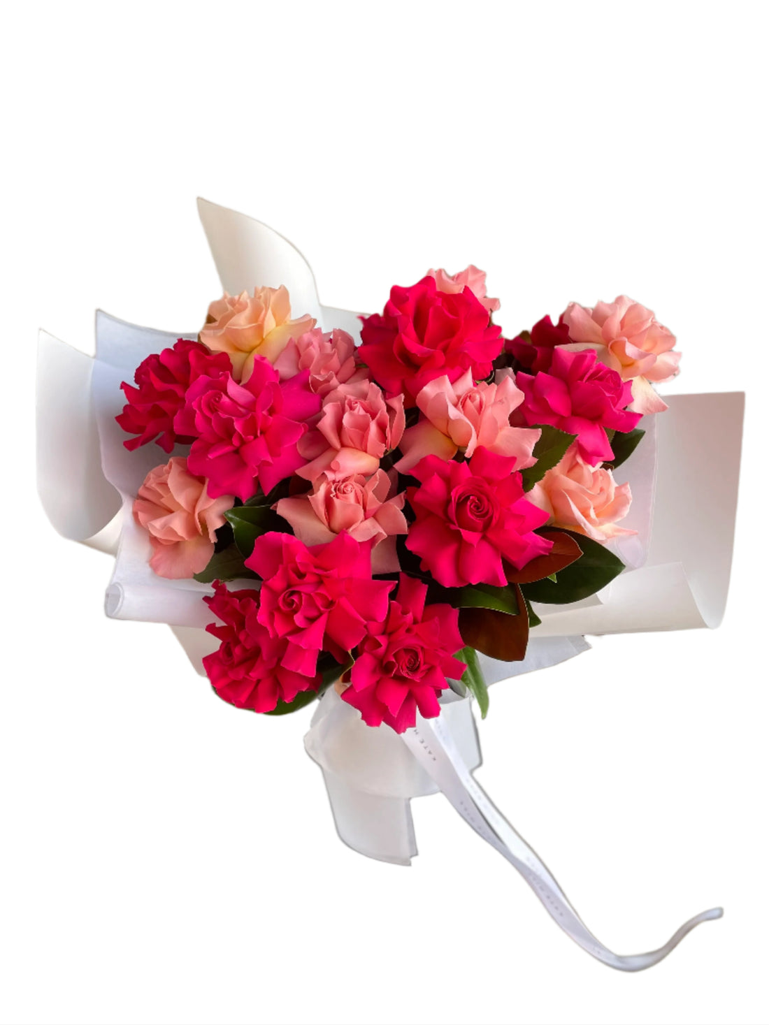 Close up image of Graduation Mixed Bright Rose Bouquet. 20 stems of hot pink and watermelon roses beautifully presented as a large bouquet in white signature wrapping. Florist holding the bouquet against a white wall.