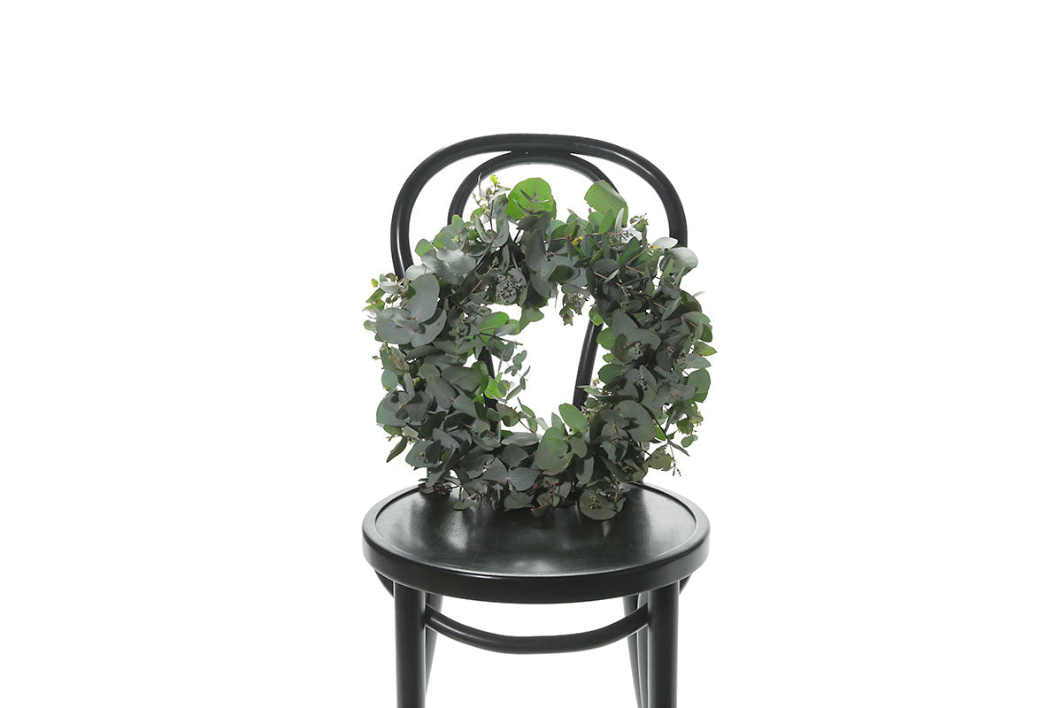 Close up image of a 45cm Eucalyptus wreath sitting on a black bentwood chair with a white wall background.