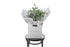 A bouquet of native eucalyptus foliage presented in our signature white wrapping. Flower bag bouquet sitting on black bentwood chair with white background.