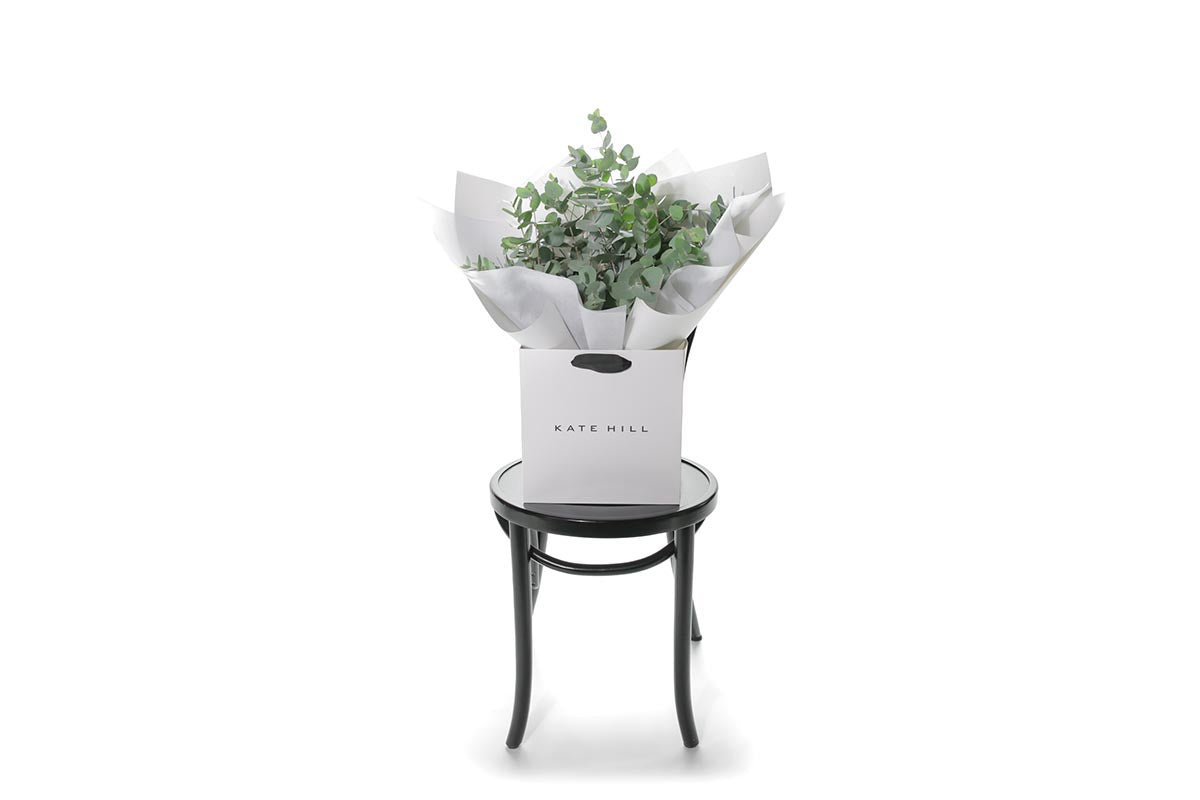 Wide image of GUM native foliage bouquet. A bouquet of native eucalyptus foliage presented in our signature white wrapping. Flower bag bouquet sitting on black bentwood chair with white background.