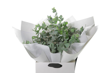 Close up image of GUM Native Foliage Bouquet. A bouquet of native eucalyptus foliage presented in our signature white wrapping. Flower bag bouquet sitting on black bentwood chair with white background.