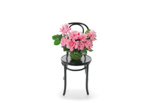 Wide image of HATTIE to give you a honest idea of size. HATTIE vase design is timeless vase design that displays Reflexed pink Roses and a hint of green seasonal foliage, designed into a premium leaf lined ball vase. HATTIE vase design is sitting on a black bentwood chair. Packed full of beautiful roses and includes the vase. Vase design is presented into a Kate Hill flower bag and detailed with ribbon for gifting.