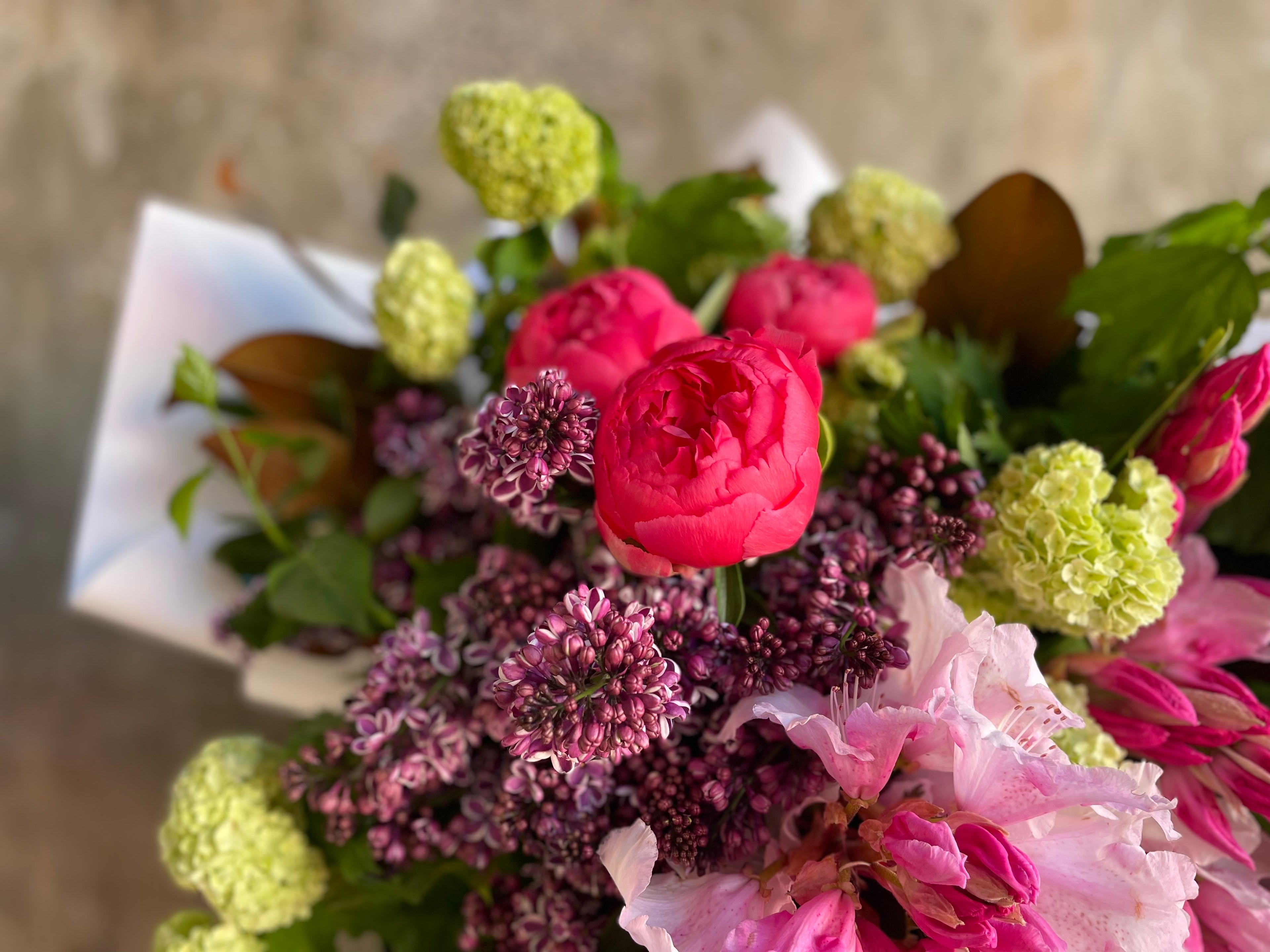 close up image of A large mixed jewel tone spring bouquet, wrapped in white signature wrapping. Large Bouquet held in front of concrete wall. 