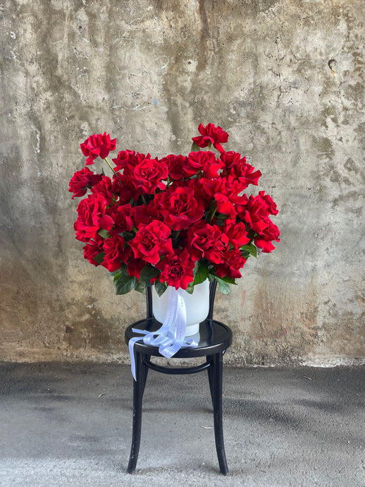 A grande design, displaying 50 long stemmed red roses on mass in a large white footed ceramic vase. Large design is sitting on a black bentwood chair with concrete wall in the background.