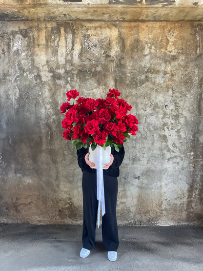 Florist holding in full view, A grande design, displaying 50 long stemmed red roses on mass in a large white footed ceramic vase. 