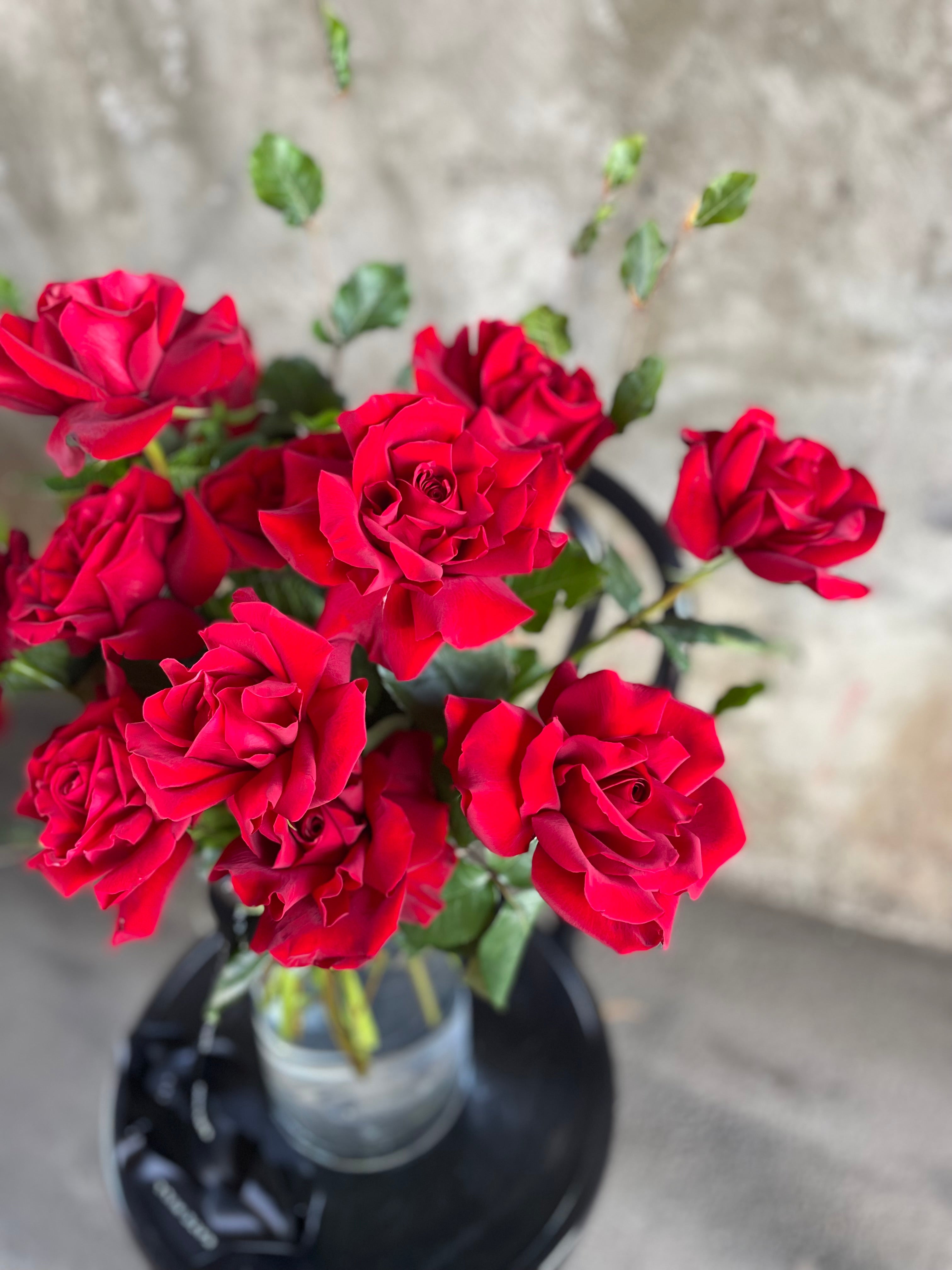 Above image of red roses. Clear glass vase featuring 10 stems of red roses, sitting on a black bentwood chair in front of a concrete wall.