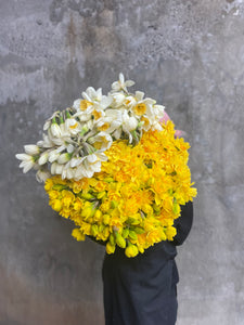 A large bundle of yellow and lemon daffodils held by a florist, wearing black and standing in front of a concrete wall.