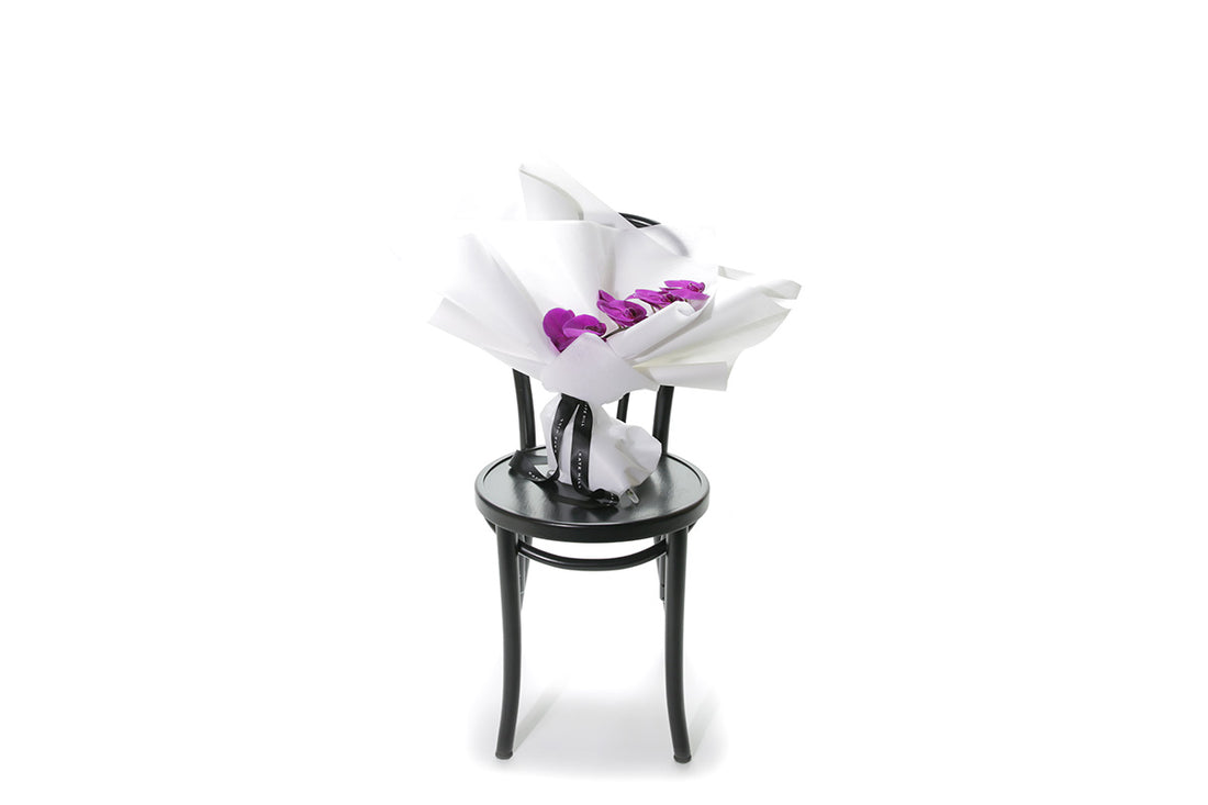 Wide image of A magenta purple phalaenopsis orchid stem wrapped beautifully in kate hill flowers signature wrapping. Stem of orchid bouquet sitting on a black bentwood with white background.