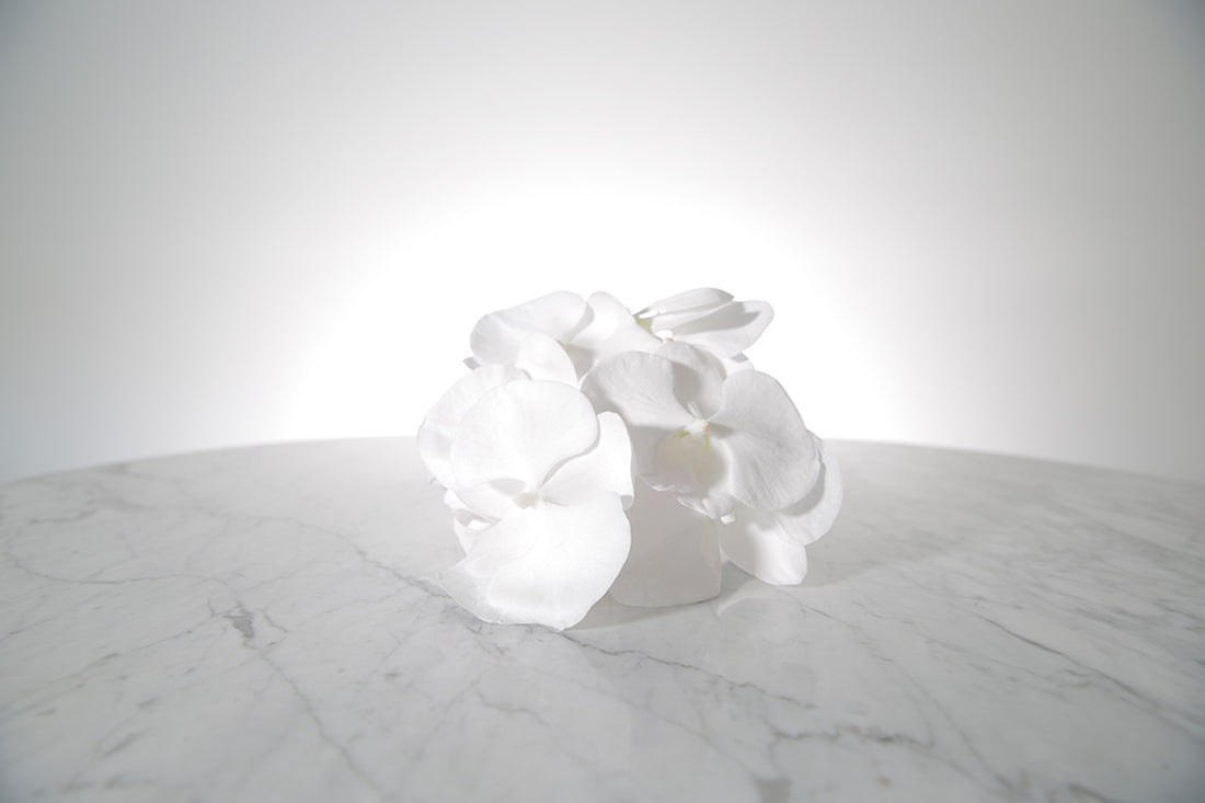 Petite white phalaenopsis orchid bridesmaid bouquet with satin ribbon and pearl pin finish on a marble surface