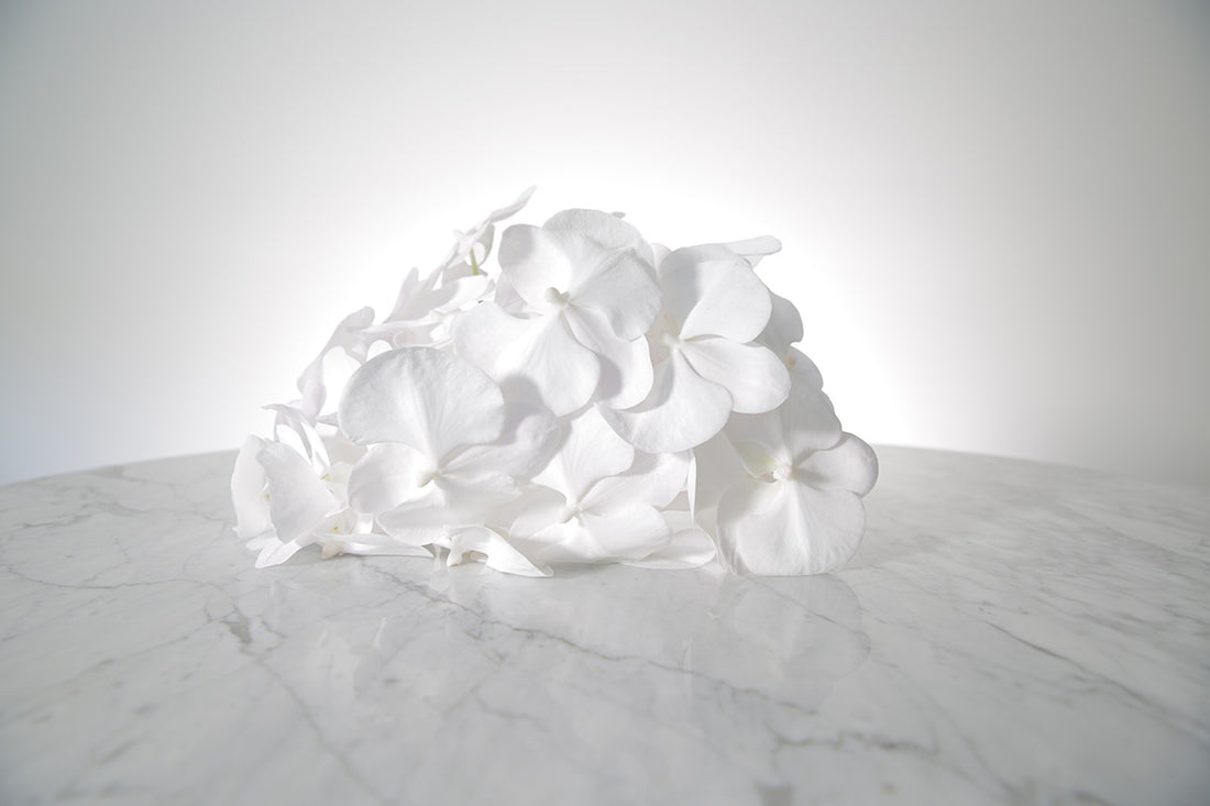 Large cascading white phalaenopsis orchid bridal bouquet bound in satin ribbon on a marble surface with a white background