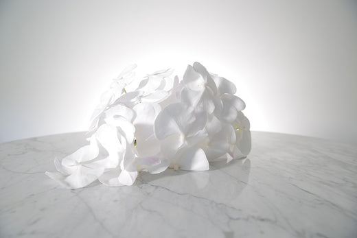 Large cascading white phalaenopsis orchid bridal bouquet bound in satin ribbon on a marble surface with a white background