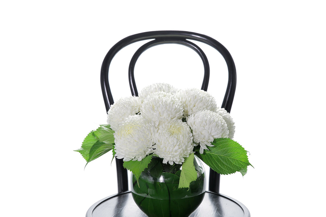 Kate Hill Flowers – white chrysanthemum sympathy ball-vase design with monstera leaf lining.