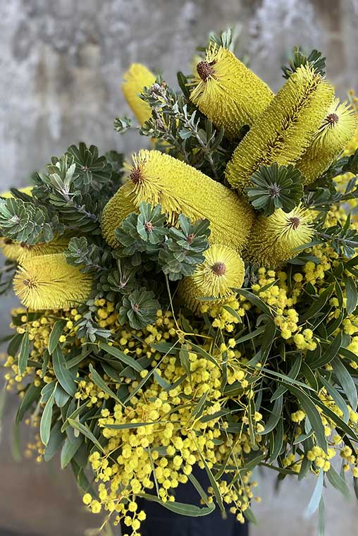 Large bouquet of yellow native Australian banksia flowers with green leaves against a blurred grey background