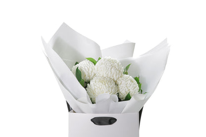 Close up image of white disbuds and a hint of foliage. Bouquet wrapped in beautiful white signature wrapping in flower bag. Bouquet bag sitting on a black bentwood chair with white wall background.