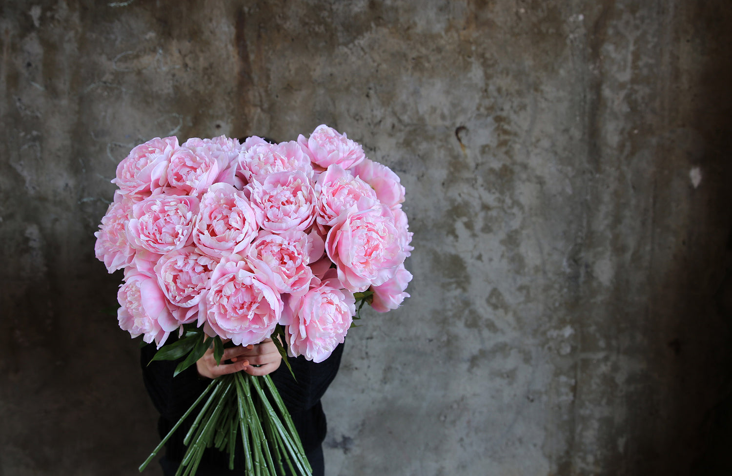 Melbourne Florist holding bunch of pink flowers