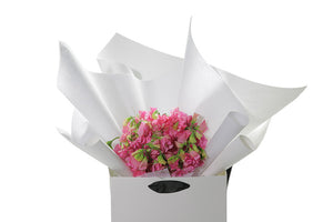 Small dome posy of fragrant pink sweet-peas, gift wrapped beautifully in white signature wrapping. Bouquet placed into Kate Hill Flower Bag and is sitting on a black bentwood chair with white background. Close up image of the posy.