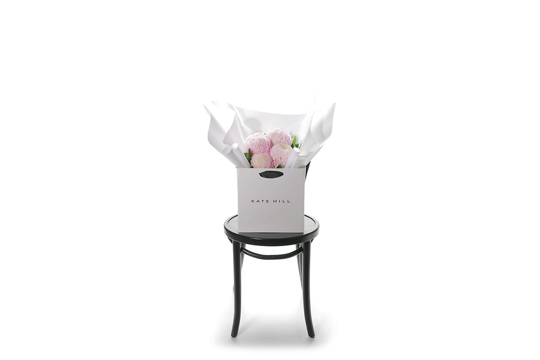 Wide image of a small posy flower bouquet of blush pink disbuds and a hint of foliage. Bouquet wrapped in beautiful white signature wrapping in flower bag. Bouquet bag sitting on a black bentwood chair with white wall background.