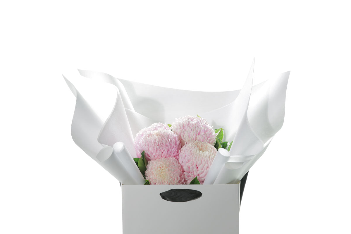 Close up image of a small posy flower bouquet of blush pink disbuds and a hint of foliage. Bouquet wrapped in beautiful white signature wrapping in flower bag. Bouquet bag sitting on a black bentwood chair with white wall background.