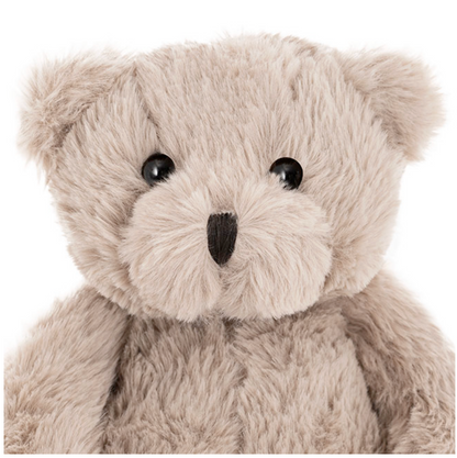 Ted the Teddy Bear | Brown