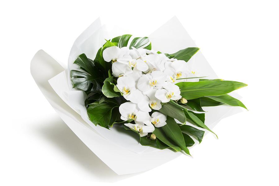 Send Flowers To Melbourne with Kate Hill Flowers