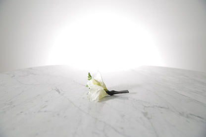 Single white freesia buttonhole flower on a marble surface with a light grey background