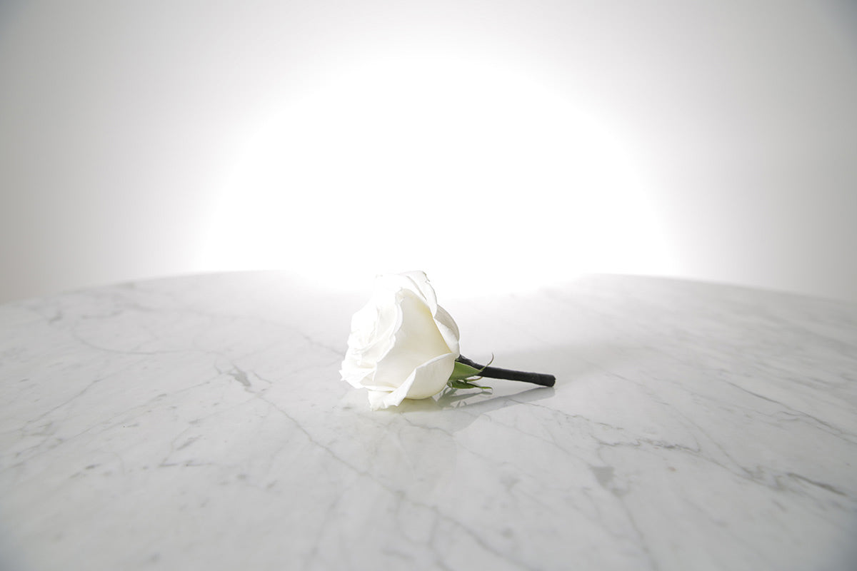 Kate Hill Flowers white rose buttonhole flower with black-taped stem and pearl pin, lapel-ready on a marble surface with a light grey background.