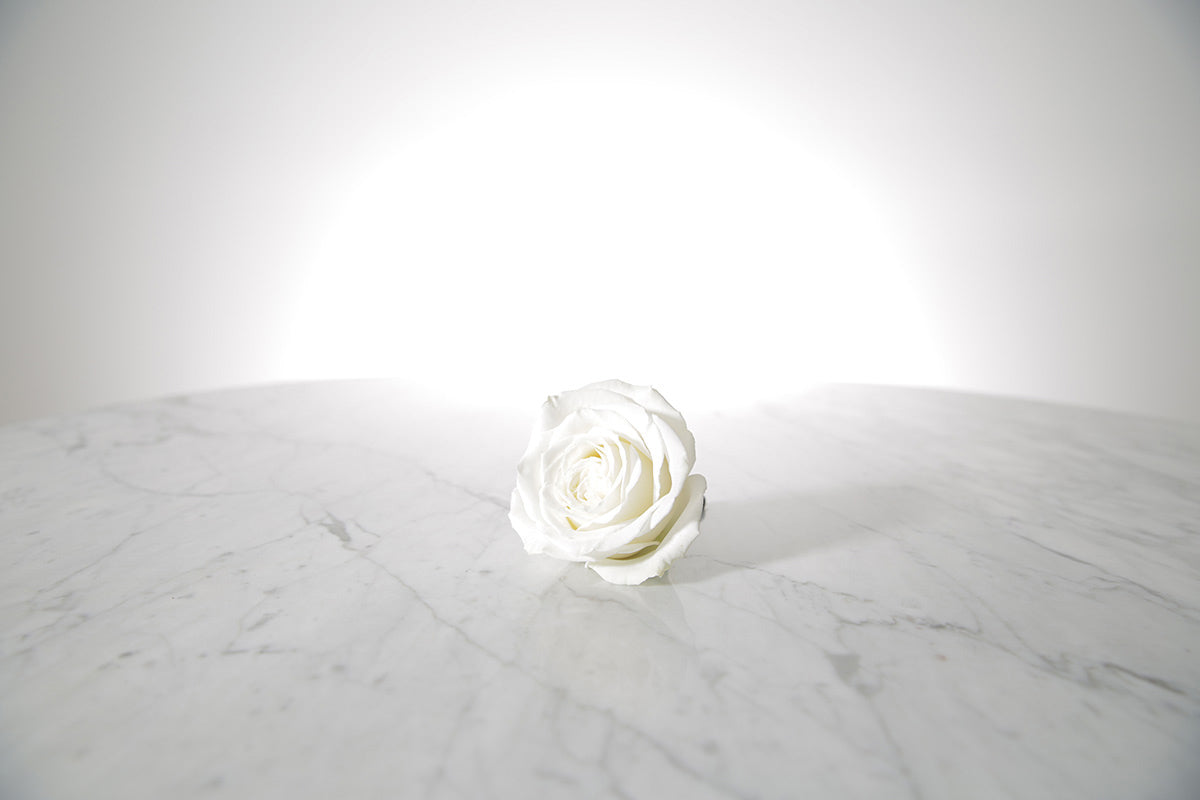 Kate Hill Flowers white rose buttonhole flower with black-taped stem and pearl pin, lapel-ready on a marble surface with a light grey background.