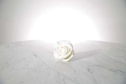 Kate Hill Flowers white rose buttonhole flower with black-taped stem and pearl pin, lapel-ready on a marble surface with a light grey background.