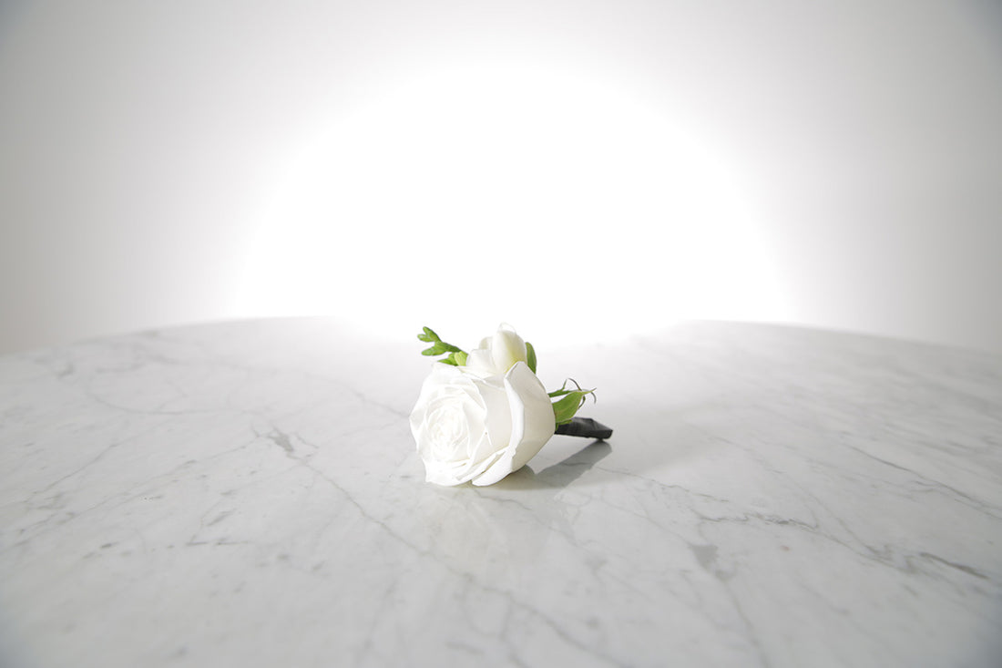 white rose and freesia buttonhole with black-taped stem and pearl pin with a light grey background