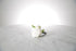 white rose and freesia buttonhole with black-taped stem and pearl pin with a light grey background