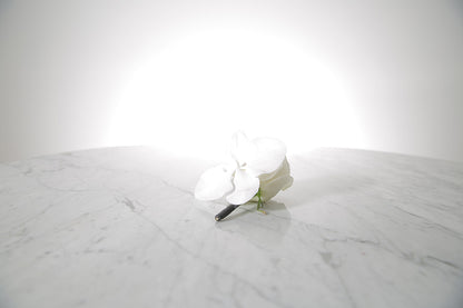 White buttonhole flower on a marble surface with a light grey background