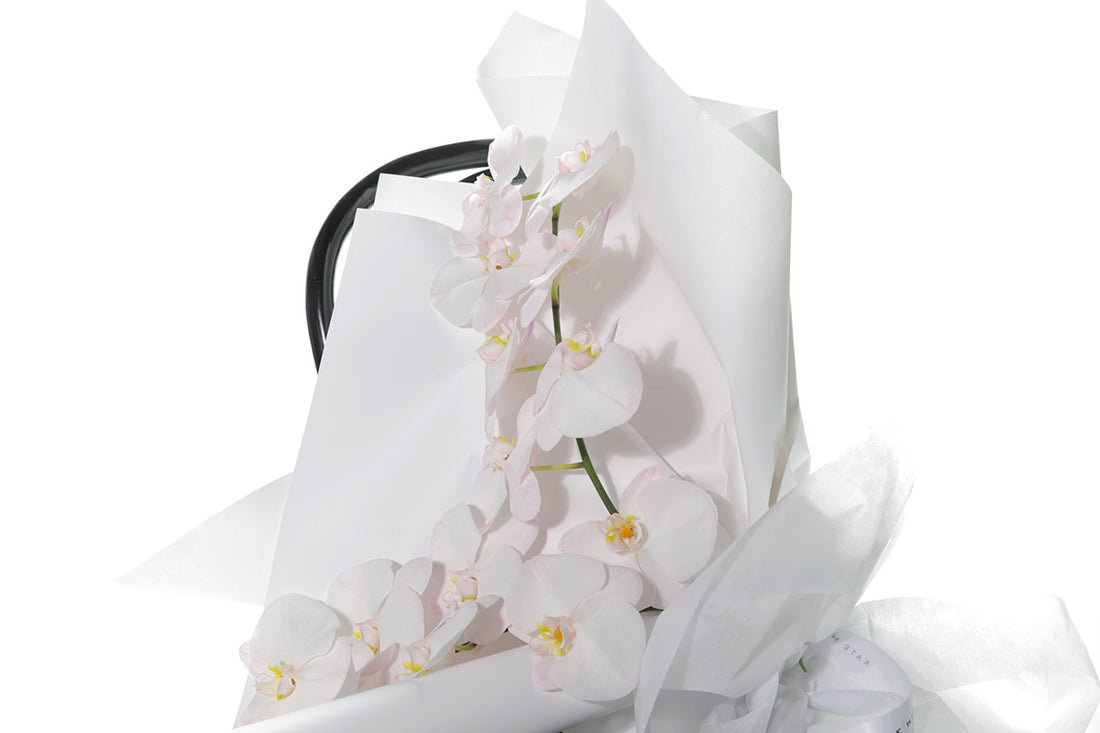 Kate Hill Flowers – gift-wrapped blush Phalaenopsis orchid bouquet with two stems, water-vialled.