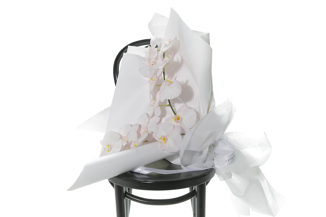 Kate Hill Flowers – gift-wrapped blush Phalaenopsis orchid bouquet with two stems, water-vialled.