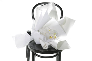 Single stem of white phalaenopsis orchid beautifully wrapped in signature white presentation. White orchid bouquet sitting on black bentwood chair with white background.