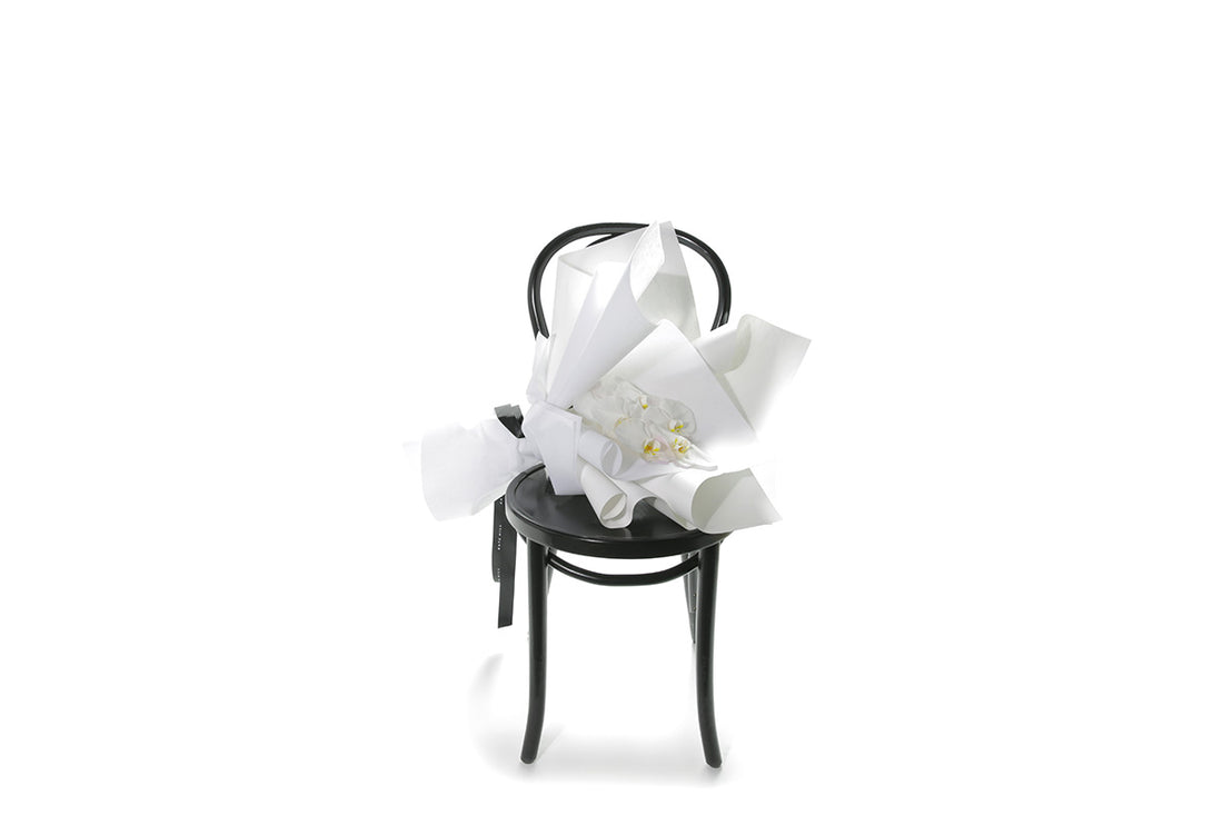 Wide image of Winston bouquet. Single stem of white phalaenopsis orchid beautifully wrapped in signature white presentation. White orchid bouquet sitting on black bentwood chair with white background.