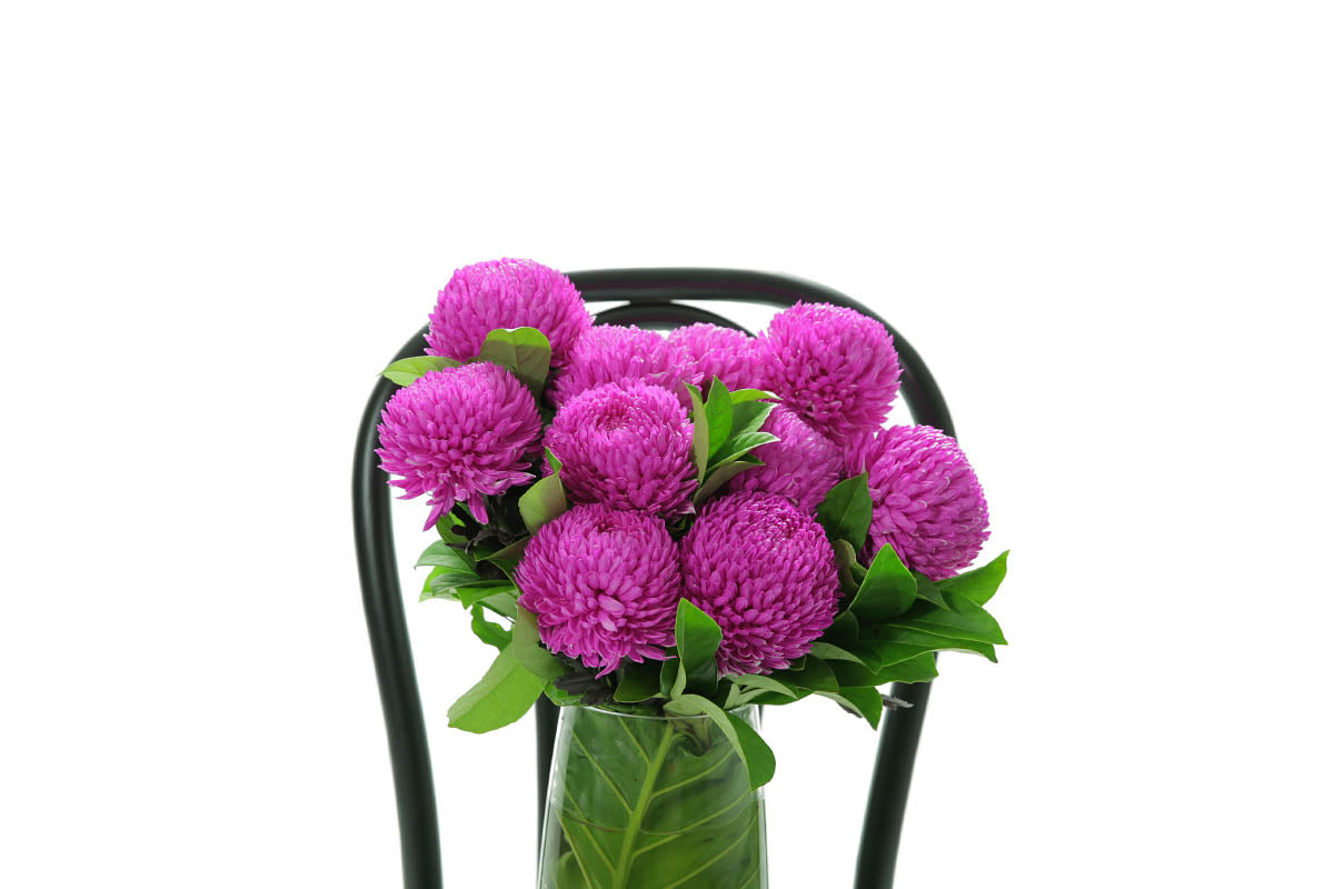 Close-up of ARIA tapered vase with hot pink disbuds