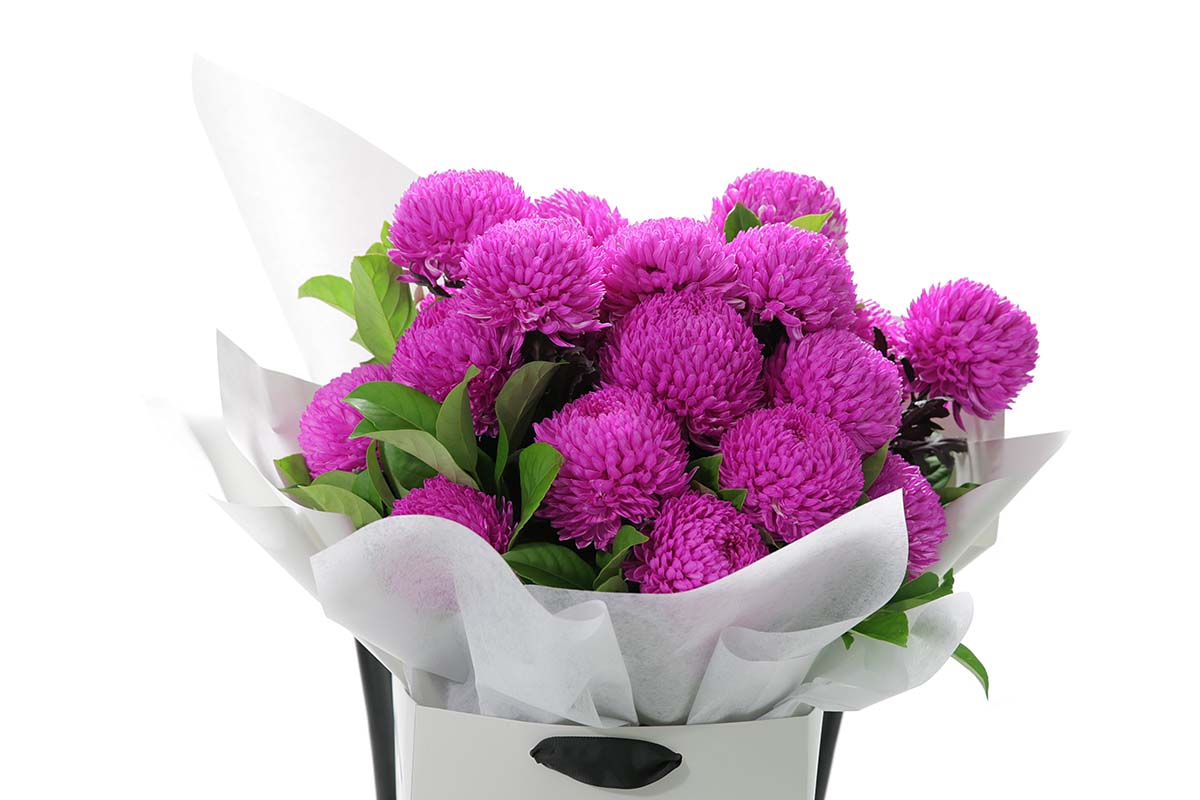 Close-up of ARIA large bouquet with hot pink chrysanthemum disbuds