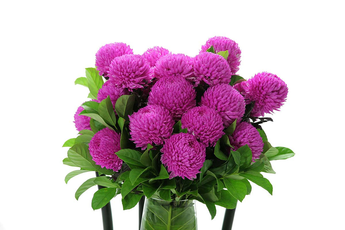 Close-up of ARIA large tapered vase with hot pink disbuds