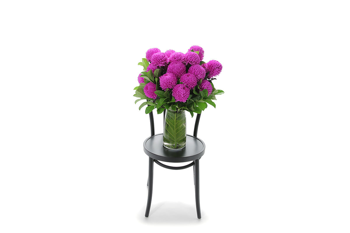 Cheltenham flower delivery by Kate Hill Flowers