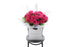 FLOYD large hot pink rose bouquet of 20 hot pink roses by Kate Hill Flowers Melbourne