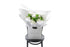 PIPER white disbud bouquet of white disbuds by Kate Hill Flowers Melbourne